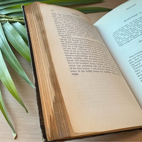 Antique 1926 The Library of Entertainment Vol. IV Geo. L. Shuman & Co. Hardcover - Picture 12 of 13